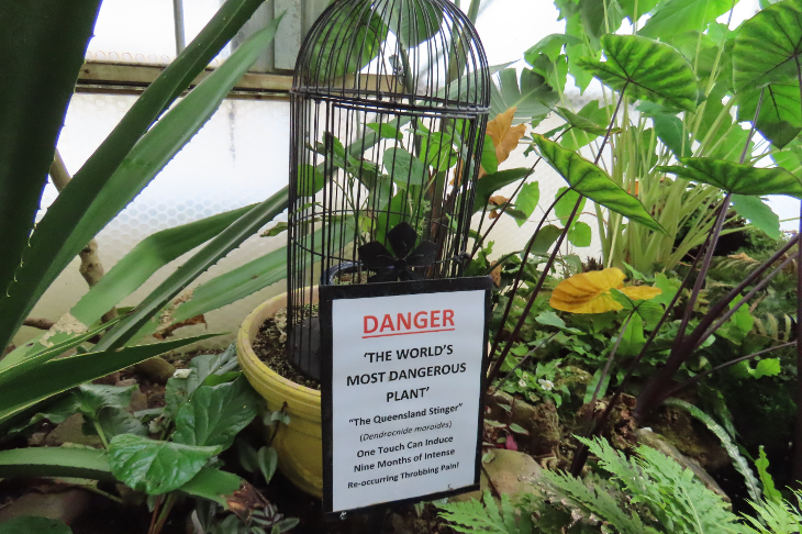 Best London gardens to visit: a plant in a cage with the sign 