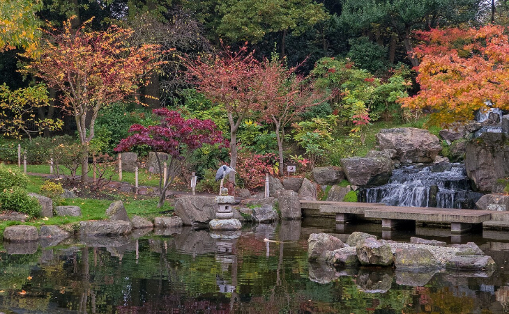 Best London gardens to visit: trees with red and orange leaves surrounding the pond in the Kyoto Garden in Holland Park