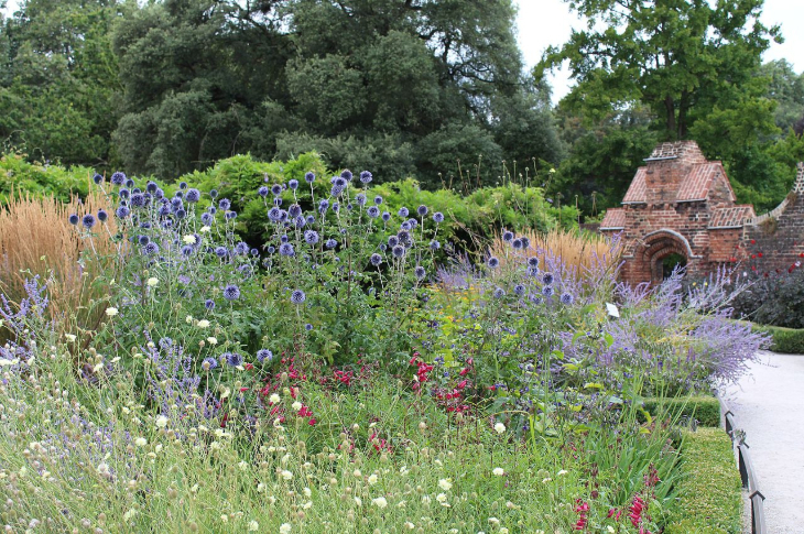 Best London gardens to visit: a wildflower-style border at Fulham Palace walled garden