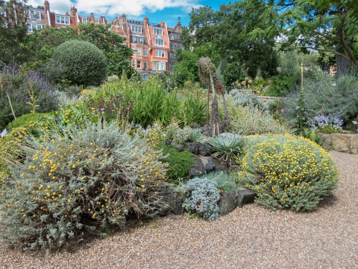 Best London gardens to visit: a border of various mature plants and shrubs at Chelsea Physic Garden
