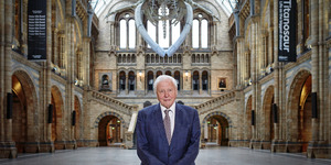 Where To Celebrate Sir David Attenborough's 100th Birthday In London