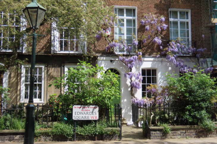 Wisteria walking route in London mapped: a house with a green front door with some wisteria, with more wisteria on the house next door