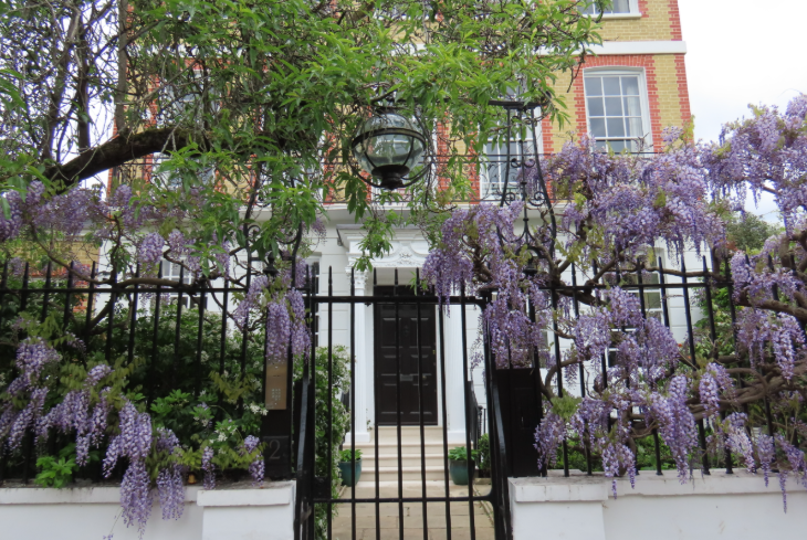 Wisteria walking route in London mapped: a brick house behind black metal railings, with wisteria woven through the railings