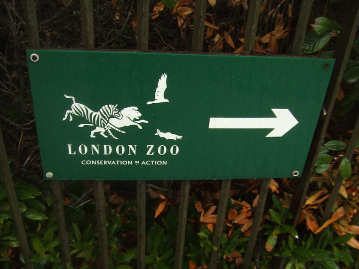 David Attenborough's London: A green rectangular sign for London Zoo attached to a metal fence. The sign features white silhouettes of a zebra, lion, bird, and fish, along with the text 