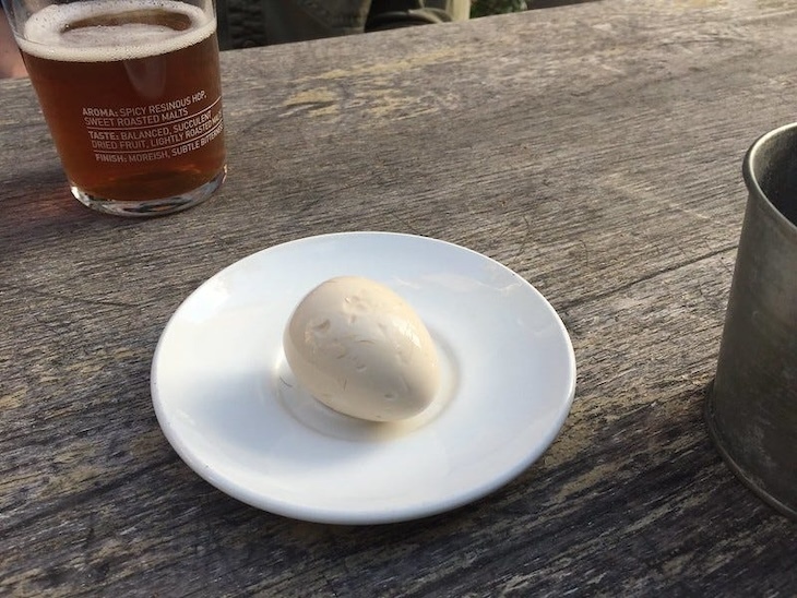 An egg on a plate in a pub with a pint