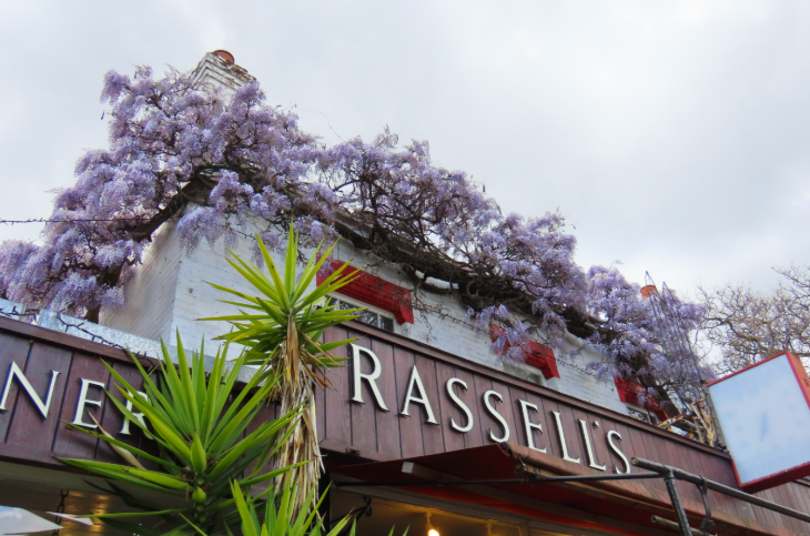 Wisteria walking route in London mapped: wisteria around the edge of the roof of Rassell's garden centre