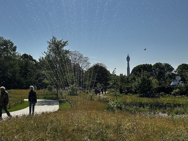 North of the QEII gardens, regents park