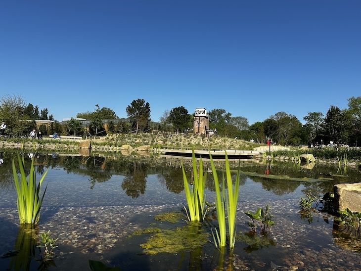 The Queen Elizabeth II Garden In Regent's Park