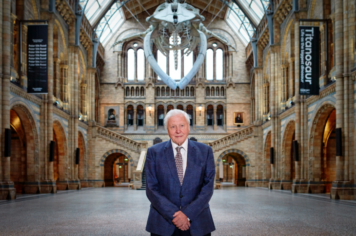David Attenborough's London: Attenborough standing beneath the blue whale skeleton in the Hintze Hall at the Natural History Museum