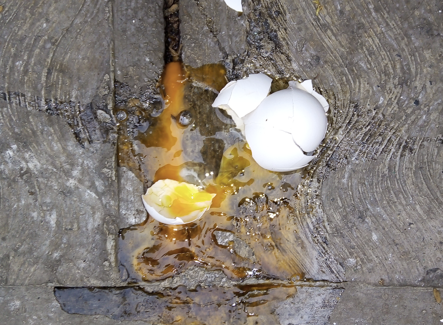 A smashed egg on the floor