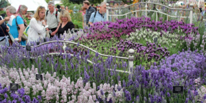 Things To Do In London This Week: 18-24 May 2026