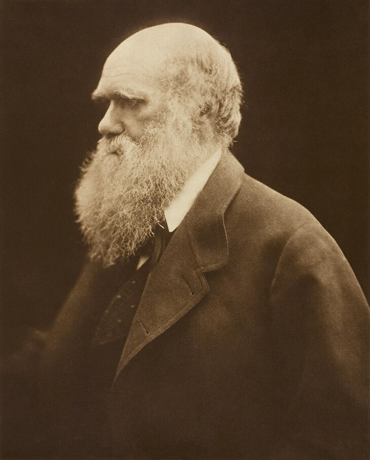 A portrait of Charles Darwin