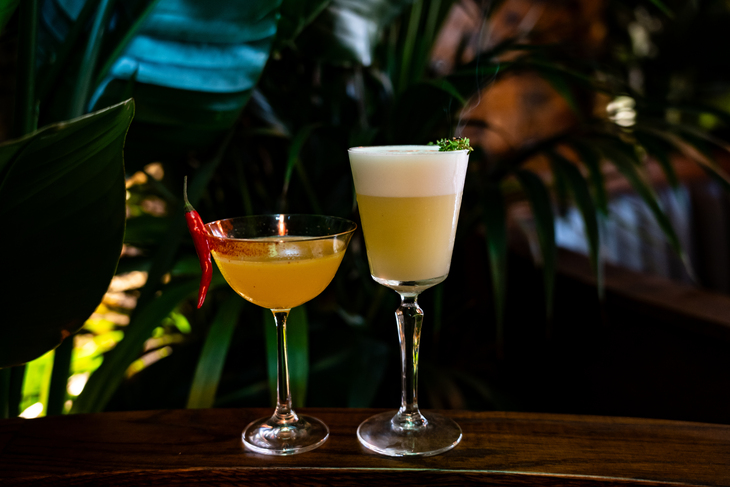 Two cocktails