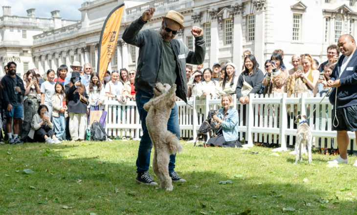 Top bank holiday weekend events London: a man and dog performing as an audience watches, in front of the Royal Naval College