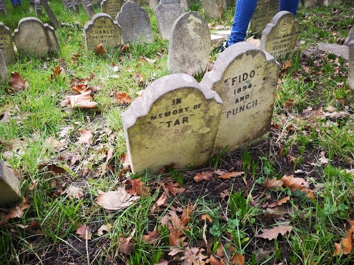 Things to do today in London: a cemetery full of small gravestones dedicated to pets