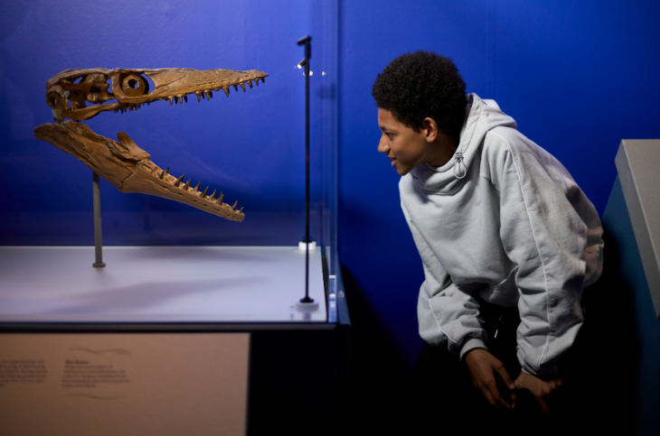 Things to do in London in the summer holidays 2026: a teenager looking at the skull of a marine creature
