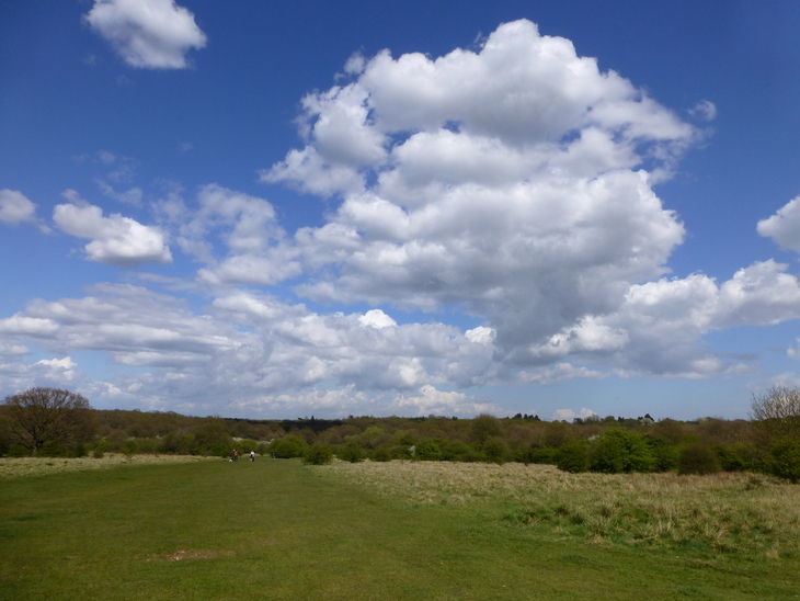 A wide green field under a bright blue sky filled with large, fluffy white cumulus clouds, with a line of trees in the distance.