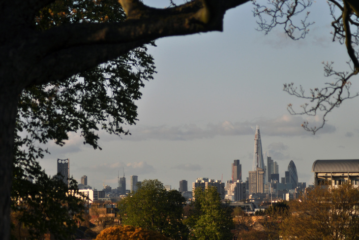 A distant view of the London skyline, including The Shard and The Gherkin, framed by the dark branches and leaves of a large tree in the foreground.