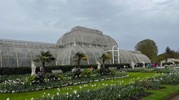 Beatrix Potter's London: The Palm House at Kew Gardens, a large Victorian glasshouse with a central dome and curved wings, set behind a formal garden with white flowers and palm trees under a cloudy sky.