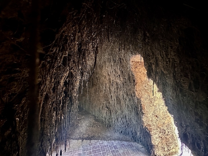 A chai latte cavern
