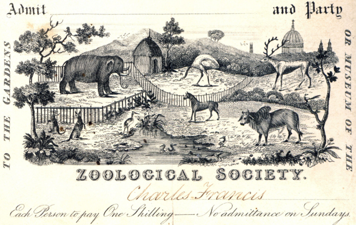 Free events in London this week: an historic entry ticket to London Zoo