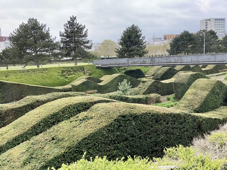 The wavy hedges of Thames Barrier Park