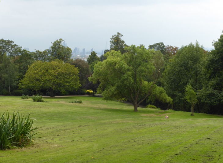 Things to do in London this weekend: A wide, grassy hill in a park leads down toward a dense line of green trees, with a hazy city skyline visible in the far distance under an overcast sky.