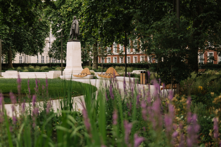 A shot of the square with lavender in the freground