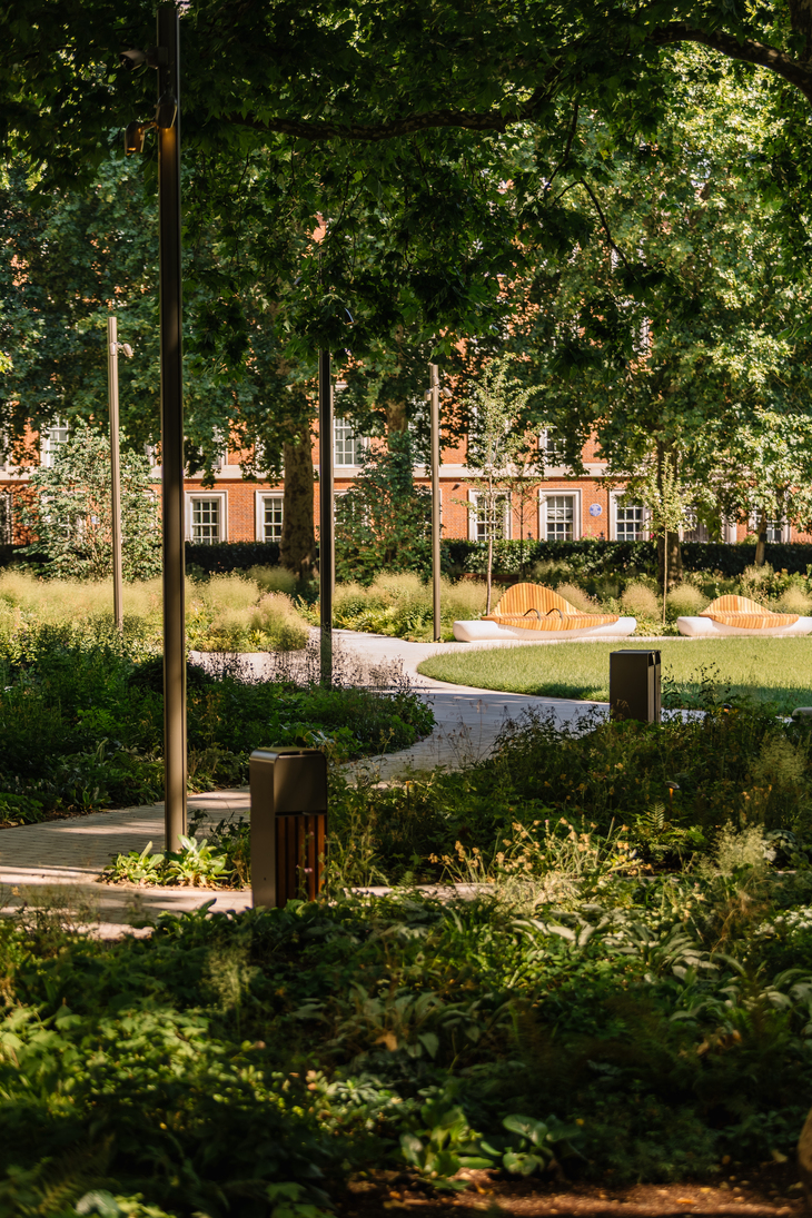 Winding paths amid the trees