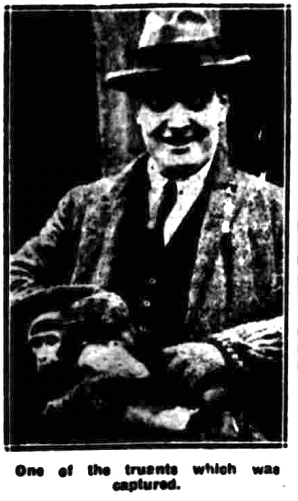 A clipping showing one of the escaped monkeys