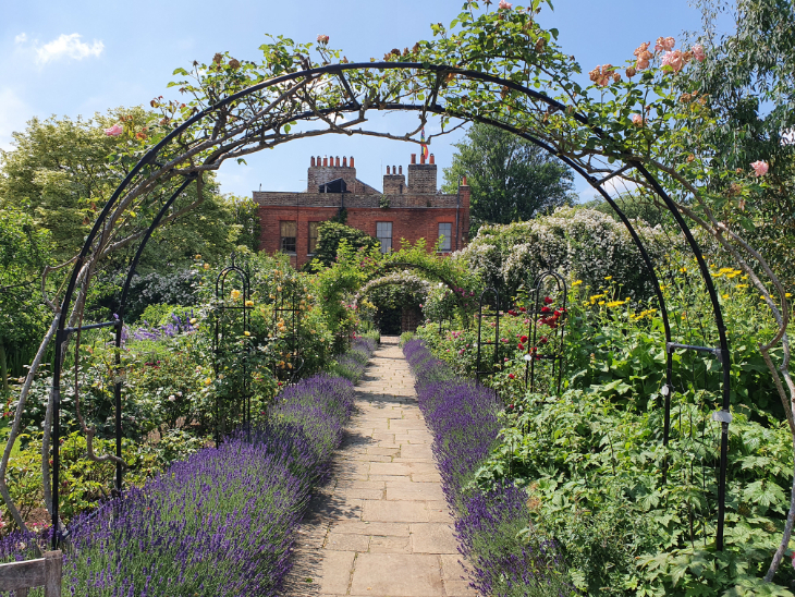 A photo of a garden path lined with lavender and rose bushes