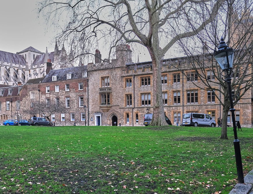 A view across a green lawn toward historic stone and brick buildings in London, with a large leafless tree in the foreground and a black Victorian-style lamp post on the right. In the background, the gothic spires of Westminster Abbey are visible behind the row of houses.