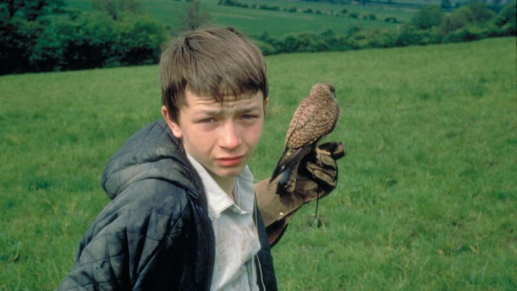 A still from the film Kes, showing a young boy in a field holding a kestrel