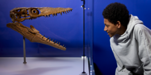 Things To Do In London In Half Term: October 2026