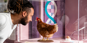 Things To Do In London This Week: 24-30 August 2026