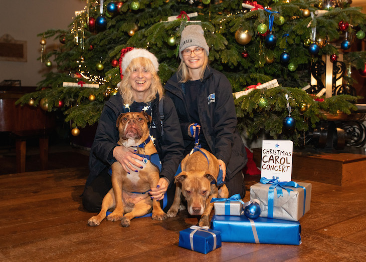 Battersea dogs Christmas concert: Two women sitting in front of a decorated Christmas tree and a pile of wrapped presents, each holding onto a sandy-coloured dog (possibly Staffys)