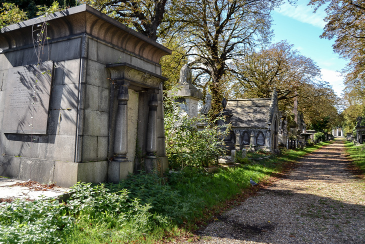 A row of ornate stone mausoleums and monuments lines a dirt path in a cemetery, shaded by large leafy trees under a clear blue sky.
