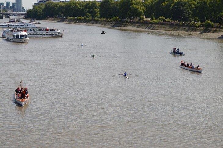 A wide view of the River Thames in London, featuring several rowing sculls and passenger boats navigating the water, with a tree-lined embankment in the background.