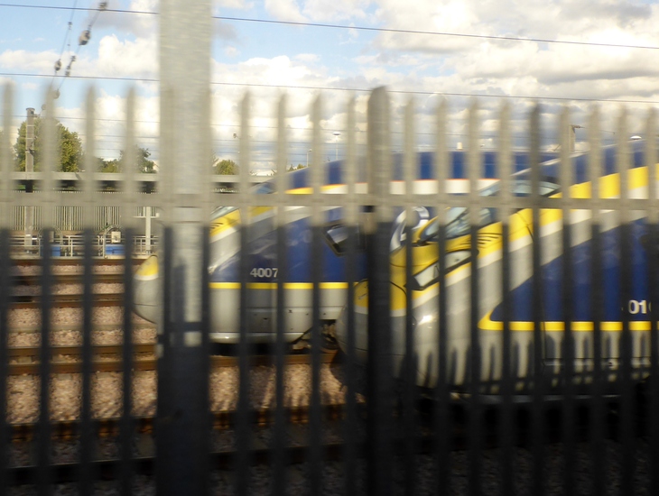 Two blue and yellow high-speed trains are parked side-by-side on tracks, viewed through a metal fence.