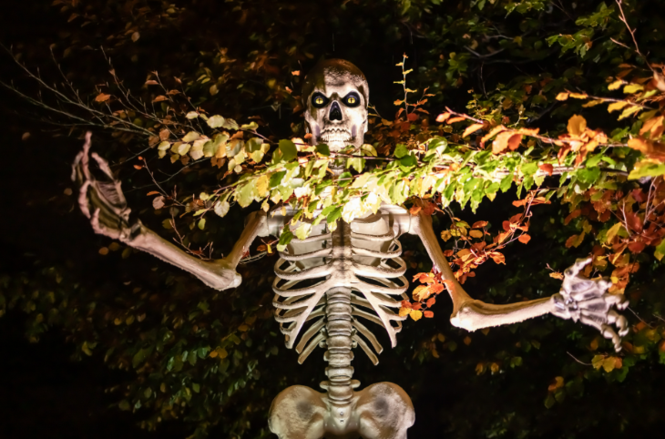 Things to do in London in October 2026: a large model skeleton, illuminated in a tree in the dark