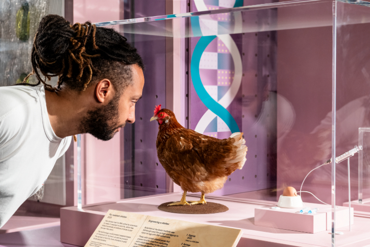 Things to do in London today: a person face to face with a taxidermy chicken in a glass case