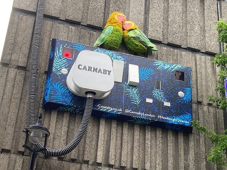 Plug sockets with perching birds in soho
