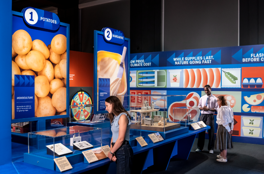 People viewing a display in a museum gallery.