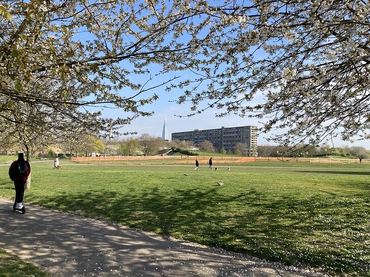 Aylesbury Estate from Burgess Park