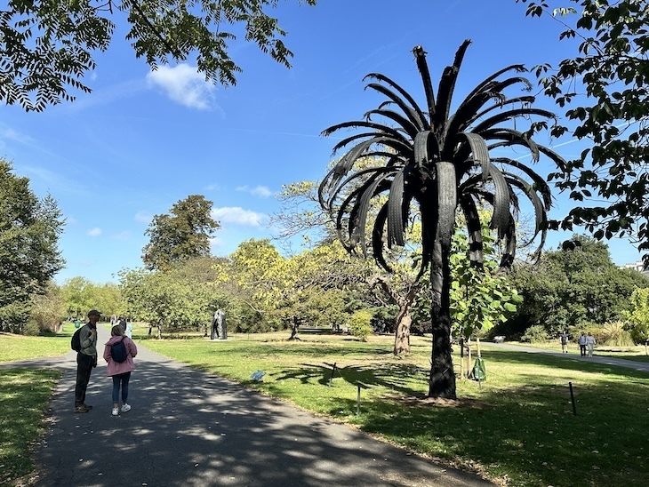 Black palm tree in regents park by douglas white