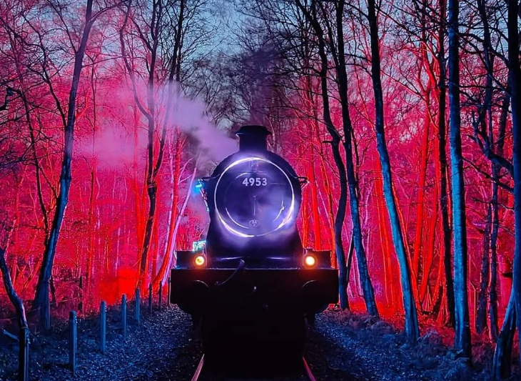 Christmas 2026 best light trails London: a steam train running through a woodland, where the trees are illuminated with red floodlights
