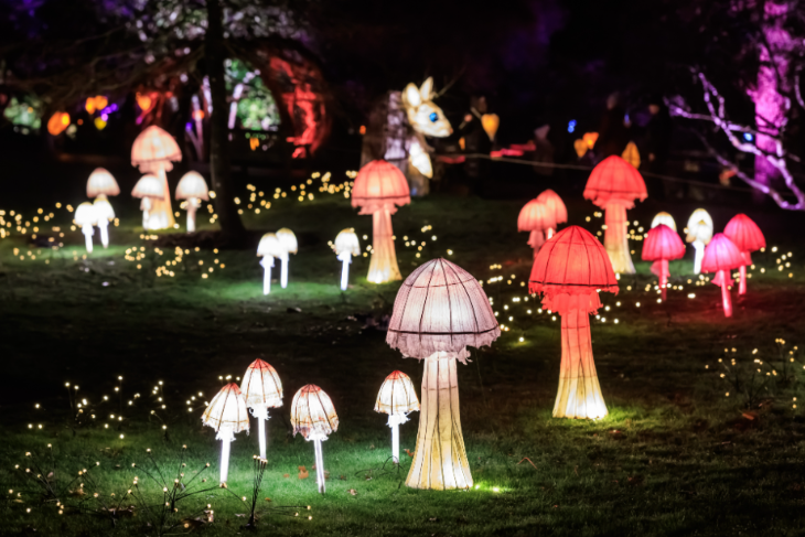 Winter light trails festivals near London Christmas 2026: glowing lanterns in the shape of mushrooms arranged on a lawn in the dark, surrounded by fairy lights