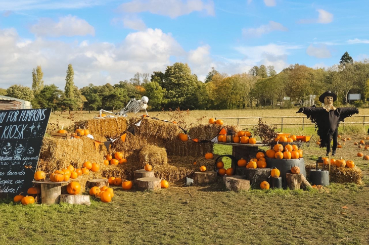 Pumpkin picking farms and patches near London 2026:  A stack of hay bales decorated with pumpkins, and a scarecrow standing alongside.