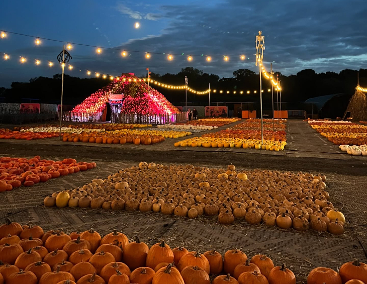 Pumpkin picking farms and patches near London 2026: a pumpkin patch illuminated at night, with gourds sorted into different species, and a 'volcano' made from pumpkins in the background