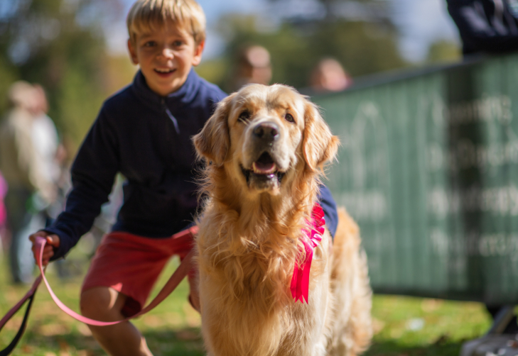 Things to do in London this weekend: a boy posing with a golden retriever which is wearing a red rosette